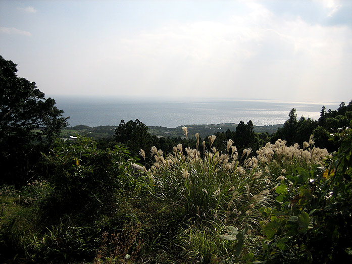 Yakushima Island Ocean View