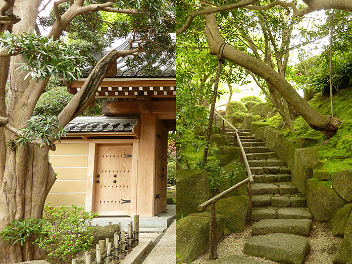 Entrance Gate Hokokuji Temple in Kamakura