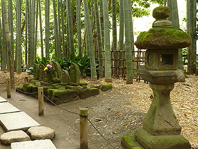 Hokokuji Bamboo Garden in Kamakura