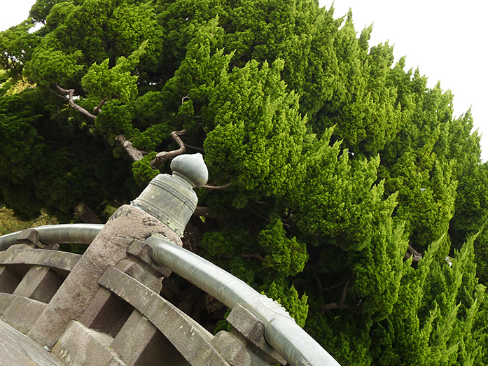 Drum Bridge of Tsurugaoka Hachimangu Shrine in Kamakura