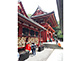 Tsurugaoka Hachimangu Shrine in Kamakura