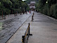 Tsurugaoka Hachimangu Shrine in Kamakura