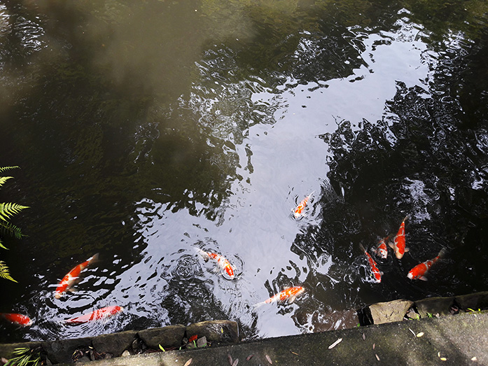 Drum Bridge of Tsurugaoka Hachimangu Shrine in Kamakura