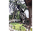 Map of Tsurugaoka Hachimangu Shrine in Kamakura