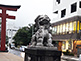 Stone statue Komainu Tsurugaoka Hachimangu Shrine in Kamakura