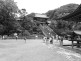 Tsurugaoka Hachimangu Shrine in Kamakura