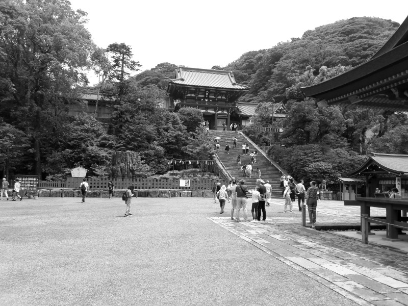 Tsurugaoka Hachimangu Shrine in Kamakura