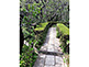 Zuisenji Temple Garden in Kamakura