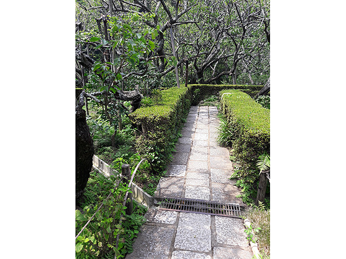 Zuisenji Temple Garden