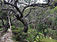Muso Soseki Garden of Zuisenji Temple in Kamakura