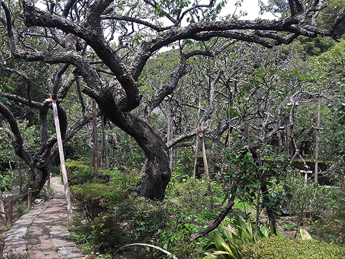 Zuisenji Muso Soseki Garden