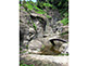 Zen Rock Garden with the Tennyodo Cave in Zuisenji Temple