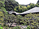 Zuisenji Temple in Kamakura