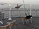 On Board of the Concerto Cruise Ship Kobe Harbour