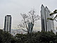 Short Hiking Path from Kitano-cho to Nunobiki Ropeway Station, Kobe