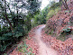 Hiking Path in Kitano-cho in Kobe