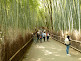 Arashiyama Bamboo Grove in Kyoto