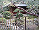 Hakuju-an Tea House, Chion-in in Kyoto