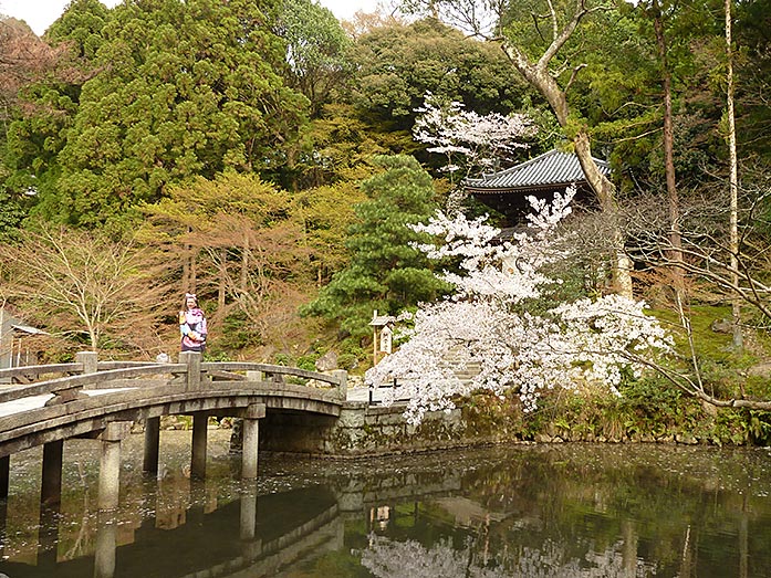 Pond Chion-in Temple in Kyoto