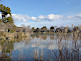 Daikakuji Temple Osawa Pond in Kyoto