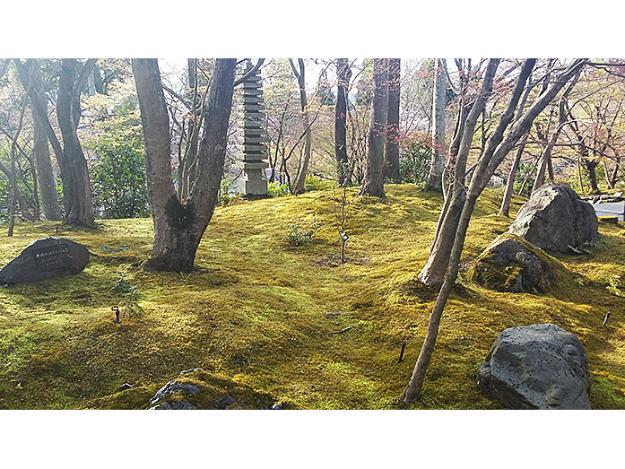 Beautiful Garden Eikan-do Temple in Kyoto