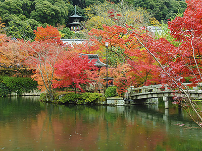 Eikan-do Temple Tahoto Pagoda in Kyoto