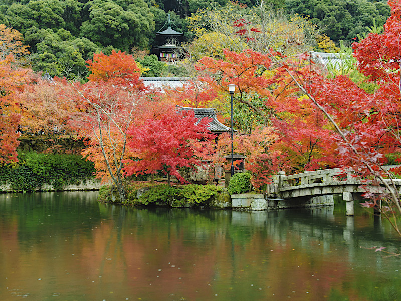 Eikan-do Temple Tahoto Pagoda in Kyoto