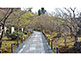 Stone Pavement Eikan-do Temple in Kyoto