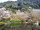 Eikan-do Temple Tahoto Pagoda In Kyoto