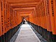 Senbon Torii at Fushimi Inari-Taisha Shrine in Kyoto