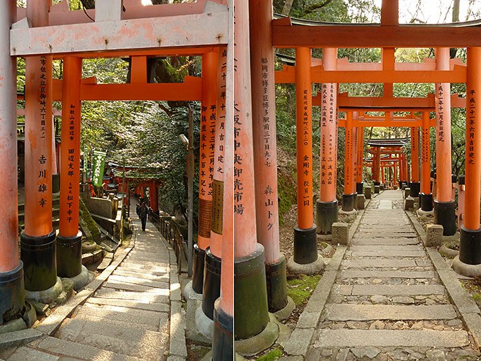 Hill Climb at Fushimi Inari-Taisha Shrine in Kyoto
