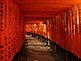 Senbon Torii at Fushimi Inari-Taisha Shrine in Kyoto