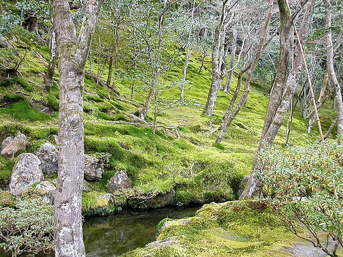 Ginkaku-ji Temple Moos Garden in Kyoto