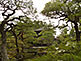 Ginkaku-ji Temple Silver Pavilion in Kyoto