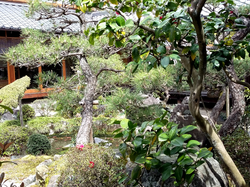 Inner Garden of Hojuji Temple in Kyoto