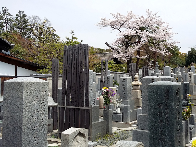 Cemetery behind Hojuji Temple in Kyoto