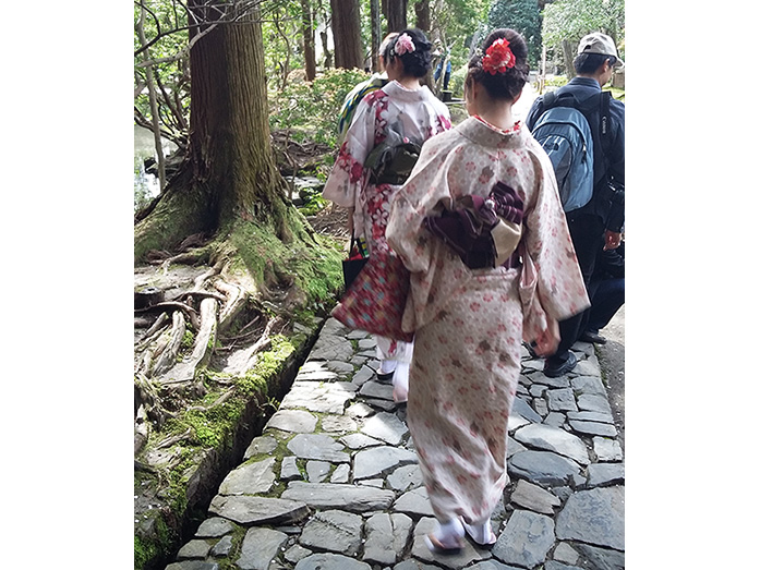 Beautiful Kimonos Honen-in Temple in Kyoto