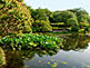 Kyoto Imperial Palace Garden