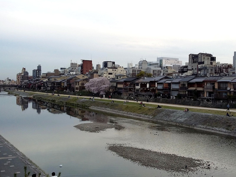 Kamogawa River in Kyoto