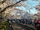 Keage Incline In Kyoto