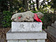 Cow Statue, Kitano Tenmangu Shrine in Kyoto