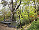 Odoi Area of Kitano Tenmangu Shrine in Kyoto