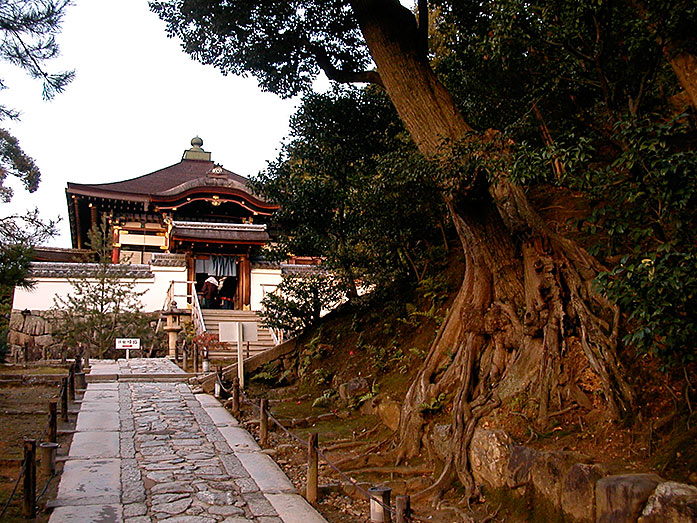 Otamaya Hall Kodaiji Temple in Kyoto