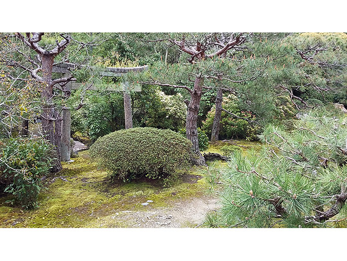 Konchi-in Kare-sansui Garden in Kyoto