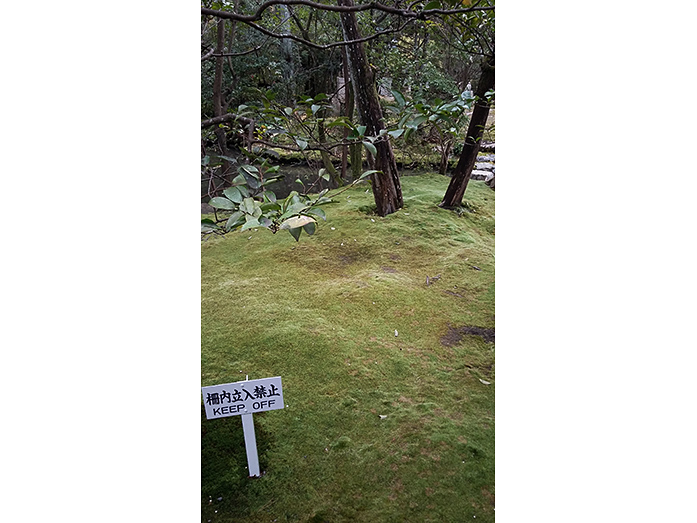 Konchi-in Moss Garden in Kyoto