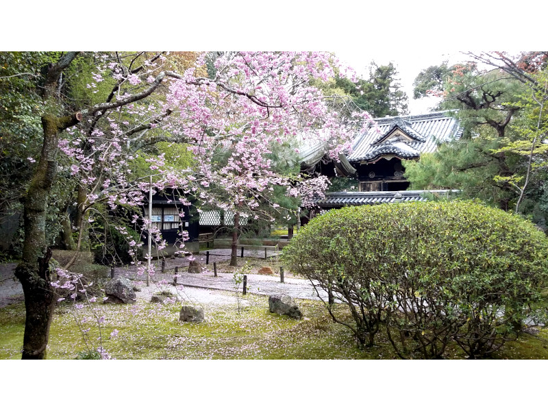 Toshogu Shrine Konchi-in Garden in Kyoto