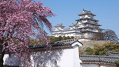 Himeji Castle