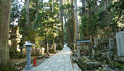 Mount Koya