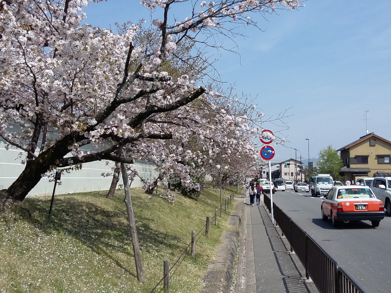 Street near Ninnaji Temple in Kyoto