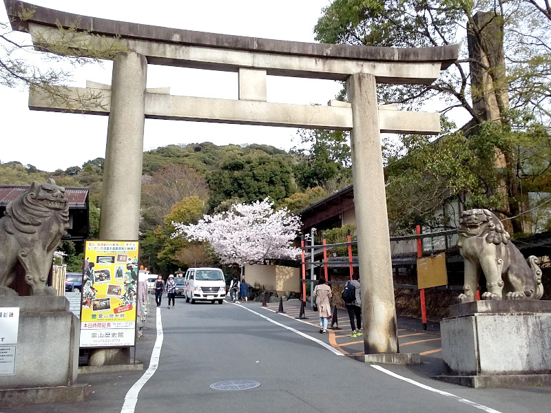 Torii of Ryozen Gokoku Shrine in Kyoto